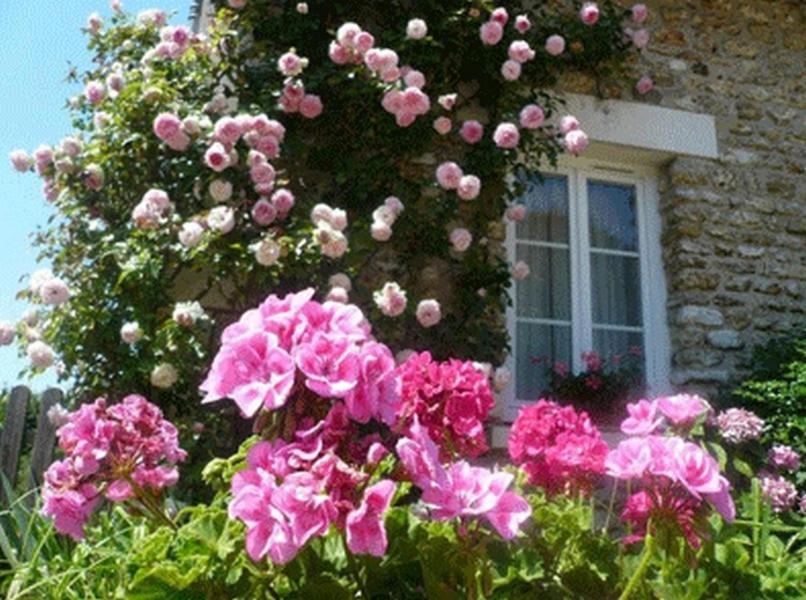 Chambres D'Hotes La Pocterie Vouneuil-sur-Vienne Exterior foto